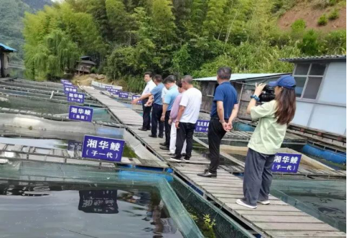 長沙拜特生物科技研究所有限公司,動物用注射藥,長沙動物用口服液,拜特水產藥,微生態制劑,動物用粉散劑,拜特生物科技